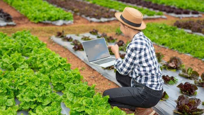 what is mixed farming and how it can increase the earning of a farmer by up to three times