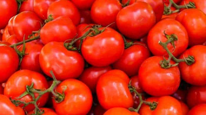 vegetable price hike tomato price rate increases due to short supply it can by reached at 100 rupees per kg