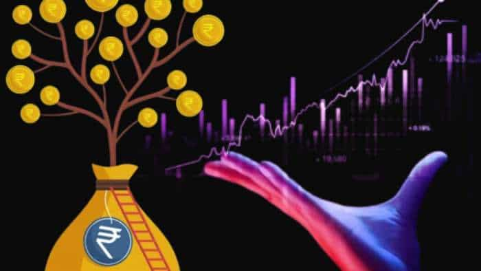 Microcap Mutual Funds suitable for highly aggressive investors 58 percent annual return in last 3 years Whom should invest