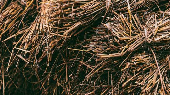 paddy straw Government revises crop residue management guidelines