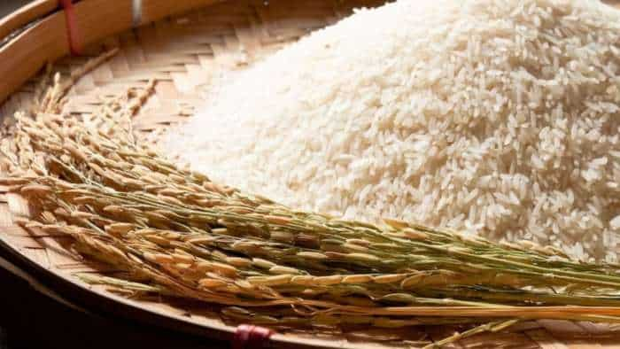 Punjab targets to bring 20 percent more area under basmati