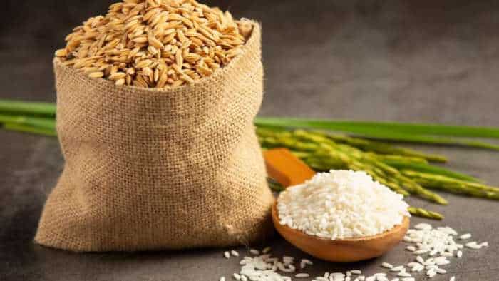 Wheat Price FCI to sell 4-29 lakh tonne wheat 3-95 lakh tonne rice in 3rd e-auction