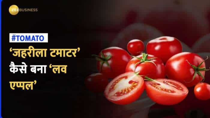 ‘गरीबों का खाना’ कहा जाने वाला टमाटर कैसे हुआ फेमस? देखें Tomato से जुड़े रोचक किस्से