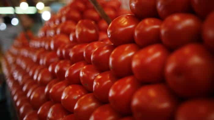 tomato price come down in delhi ncr now latest price is 90 rs per kg at government shops only 