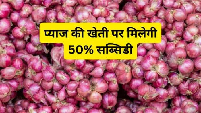 Subsidy On Onion Farming bihar government giving rs 49000 to farmers for pyaz ki khei