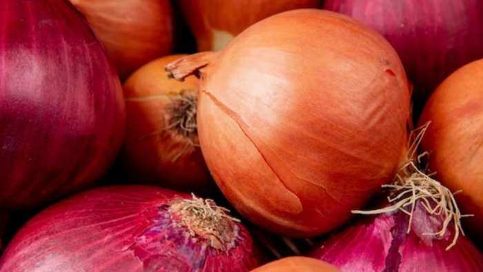 Government procures 3 lakh tonnes of onion for buffer stock piloting irradiation of onion with BARC