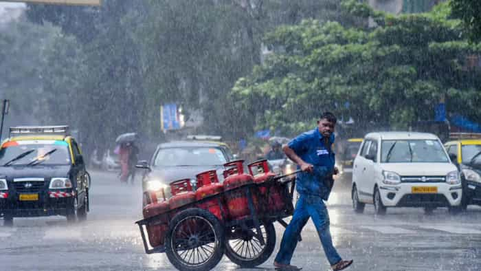 Maharashtra weather update IMD has issued a Red alert for Palghar Raigad for July 19 check details for other places 