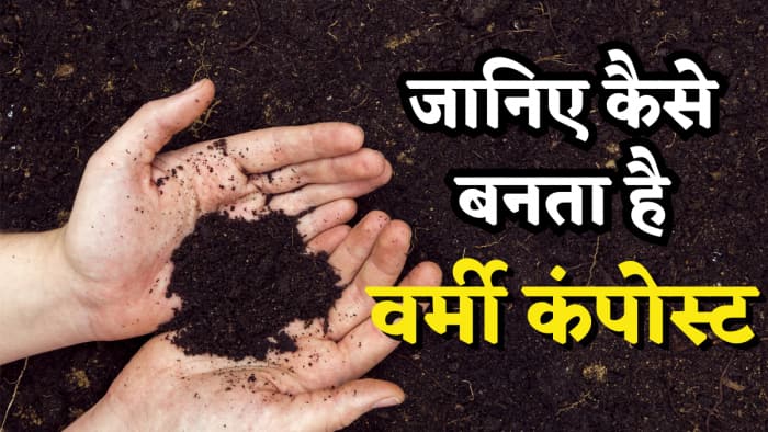 know what is vermi compost and how it is made, used in organic farming, farmers can do its business also