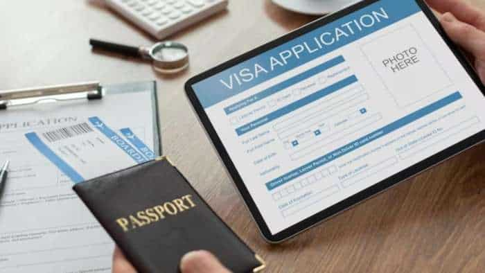 Visa apply ake websites on rise issuing e visa application government reveals in loksabha