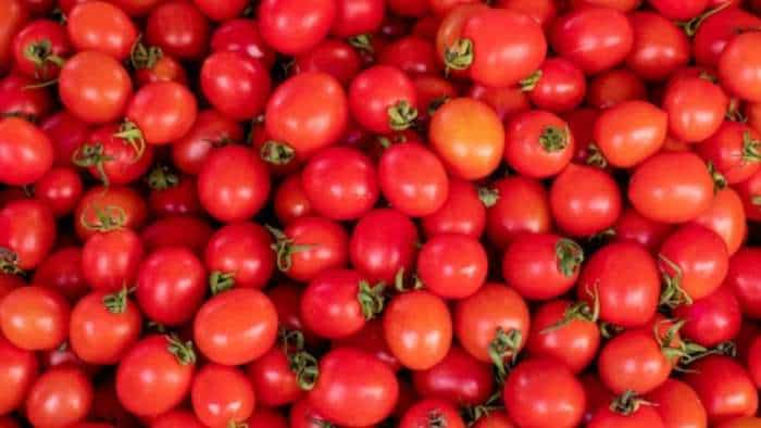 Paytm E-commerce partners with NCCF and ONDC to sell tomatoes at Rs 70 per kg in Delhi-NCR