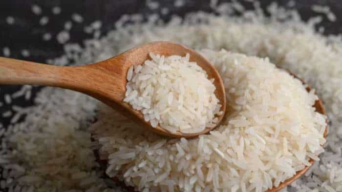 Singapore in close contact with Indian authorities to seek exemption from non-basmati rice export ban