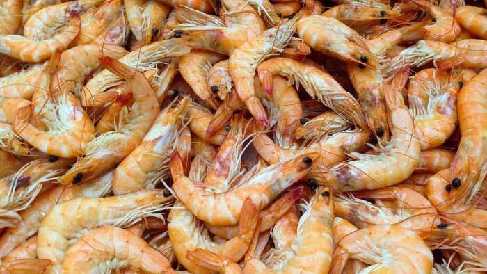 India urges EU to allow shrimp imports reduce inspection sampling frequency