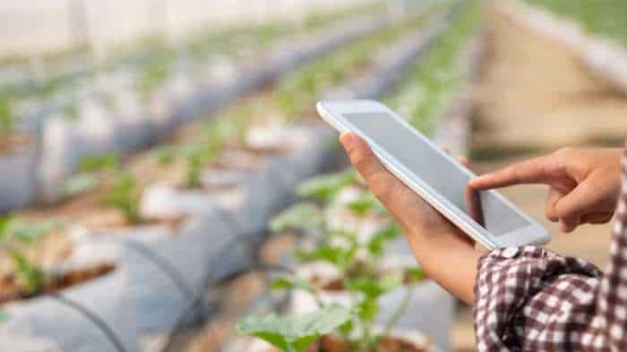 Big news for farmers haryana government givin free Israeli technology training to farmers apply soon know full details