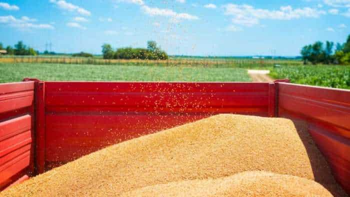 Government invites applications from exporters for allocation of wheat quota for Bhutan