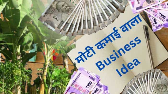 Business Idea start Banana paper Manufacturing unit with low investment earn over rs 60000 per month check details