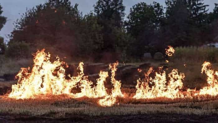 Centre aims zero stubble burning in current season: Agriculture minister Tomar