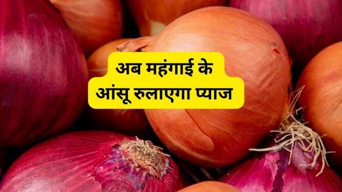 Onion prices might touch Rs 60-70 per kg by month-end says Crisil