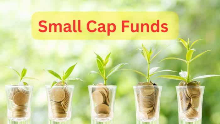 small cap funds clocks highest inflows in July AMFI data says category received highest inflows among all equity categories since the last four months