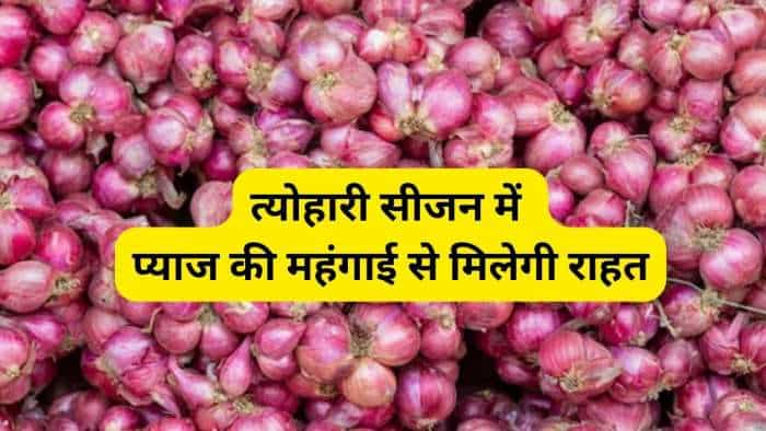 Centre begins release of stocks from onion buffer of 3 lakh metric tonne