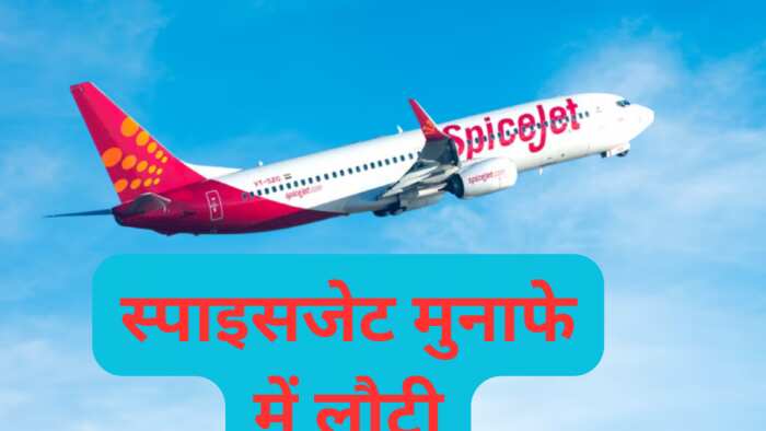 No-frills carrier SpiceJet back in black; posts Rs 205 crore profit in June quarter