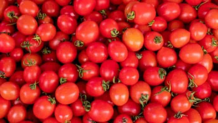 Tomato Price Hike NCCF and NAFED to sell tomatoes at retail price of Rs 50 per kg from 15th August 2023