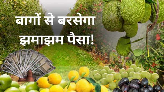 bihar government providing 30000 rupees subsidy for bet amla jackfruit and lemon fruit cultivation