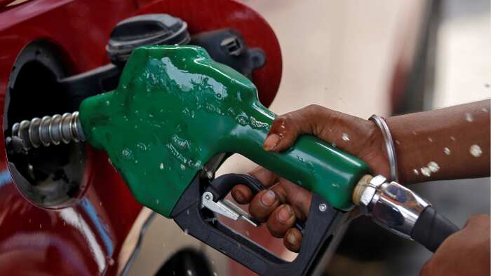 Petrol-diesel price today on August 19: Check latest rates in your city Delhi Uttar pradesh Madhya Pradesh fuel rates