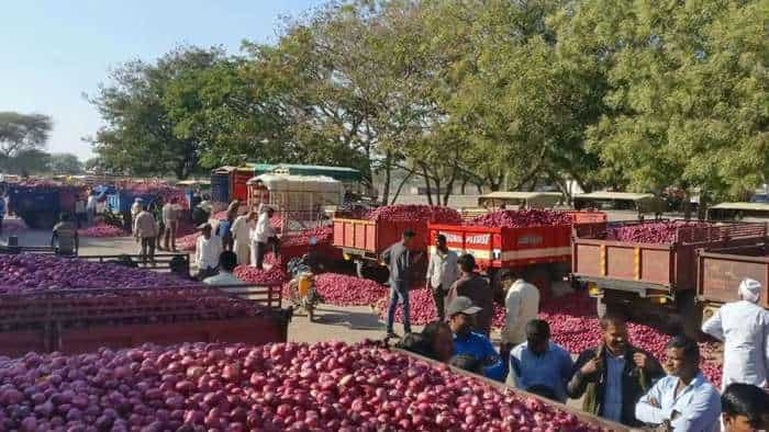 Government Mobile Vans Selling Rs 25 Per Kg Onion in Delhi check locations 