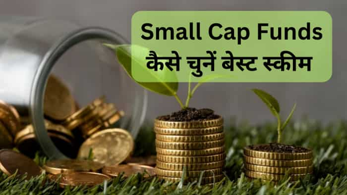 Small cap Funds how to select best suitable schemes in Bullish market experts says category ecosystem and strategy for high return