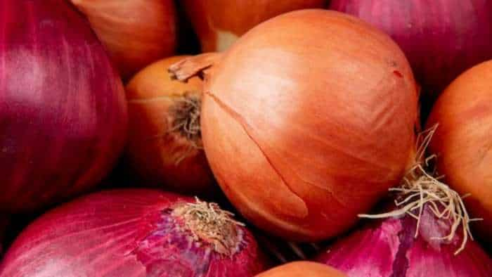 Onion Prices Strike in Lasalgaon the biggest onion market