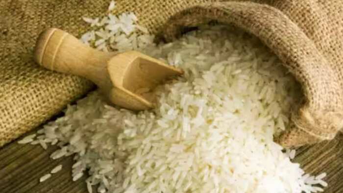 Govt issued Revised Notification on Non-Basmati Rice Export Ban order only these people will be allowed to export with conditions