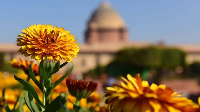 Rashtrapati Bhavan will remain closed for public from 1st to 10th September due to G-20 Summit