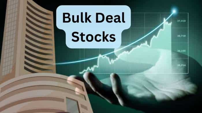 IDFC First Bank reports bulk deal after 7 years GQG  PARTNERS picks 17 crore shares