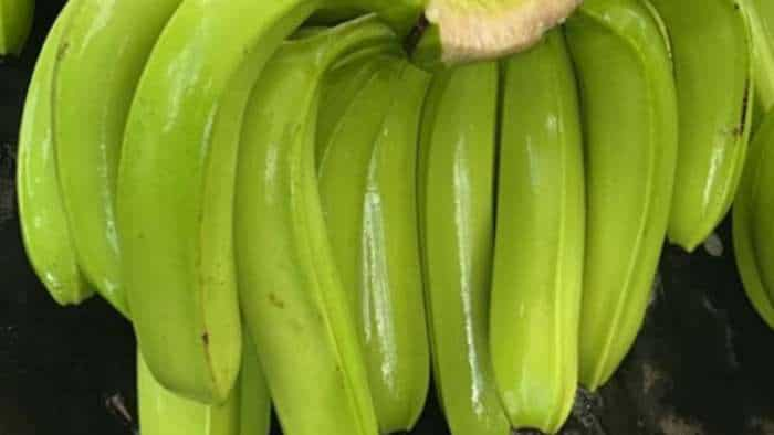 apeda exports purvanchal ghazipur banana fruits to dubai