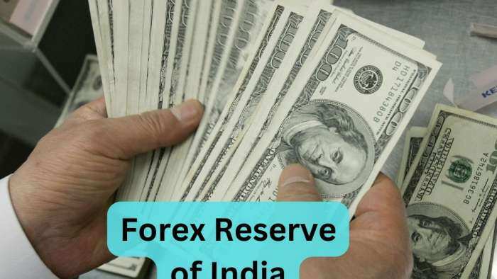 Foreign Reserves of India rose by 4 billion dollar know how much reserve with RBI