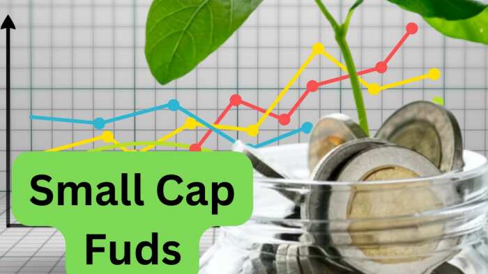 small cap funds seen heavy inflows in August in straight 5th months here what experts say