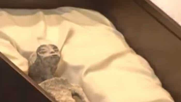 Aleins Dead Body found in cusco peru mexico scientists claims 1800 year old non human corpses