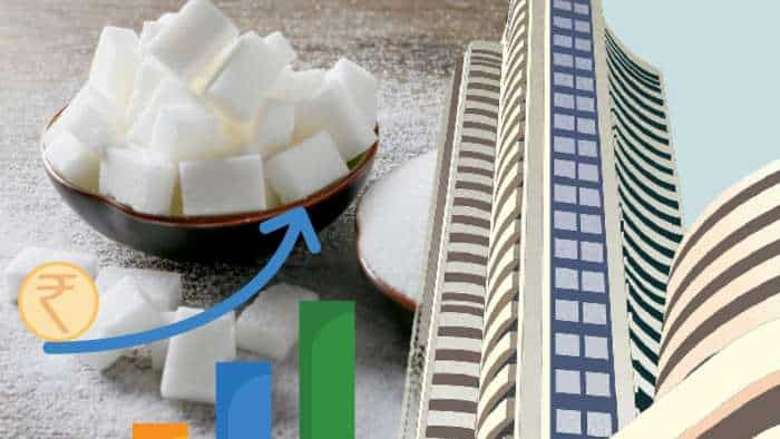 Sugar Stocks to Buy DAM Capital Balrampur Chini Triveni Engineering Dalmia Bharat Dwarikesh Sugar share next target