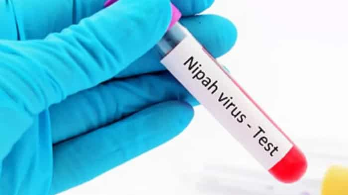 Nipah Virus ICMR alert on Nipah this disease is more dangerous than Covid 19 know important symptoms precaution and all information 