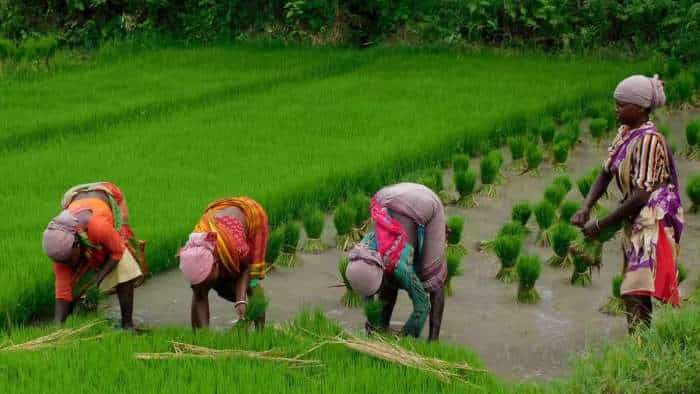 Kisan Rin Portal to be launched on September 19 Kisan Credit Card PM Kisan yojana