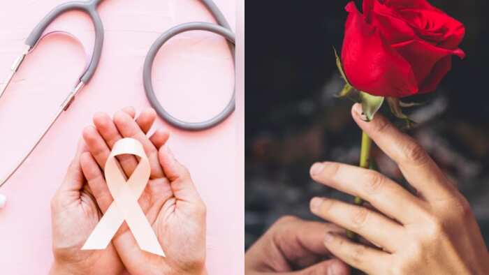 World Rose Day 2023 Why this Day is special for cancer patients celebrated on September 22 know history significance of the Day for the Welfare of Cancer Patients