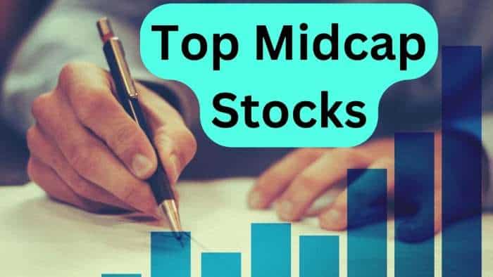 Midcap Stocks to BUY Gujarat Ambuja Exports Nazara Technologies and V-Guard Industries know target 55 percent return 