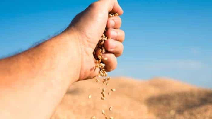 Centre sells 18-09 LMT wheat in 13 e-auctions under OMSS Domestic