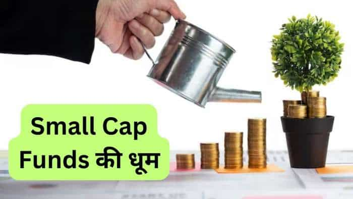 Small Cap Funds folio surpass Large Cap and Flexi Cap Funds shoes AMFI data