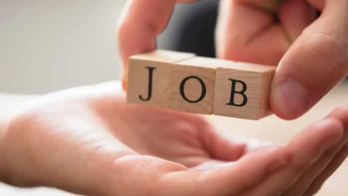 jobs in india recruitment opportunities in travel and hospitality sectors for freshers in second half report
