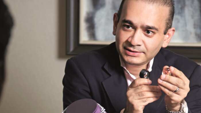 Nirav Modi Solar Power Plant Put Up for Auction to Recover PNB Dues