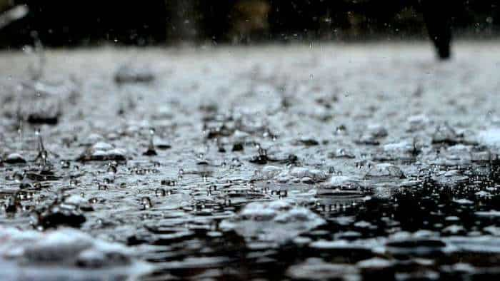 Monsoon rainfall six percent less than average Says Indian Meteorological Department know which area affected more  