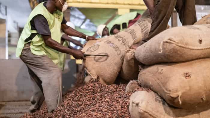 ivory coast wants to sell cocoa products directly to india 