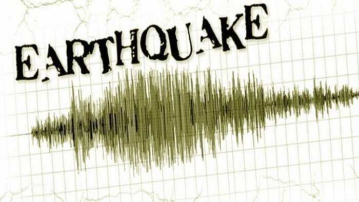 Earthquake in Delhi-NCR richter scale 6-2 National Disaster Management Authority guidelines what to do or what do not during earthquake