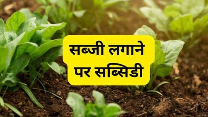 sarkari yojana bihar government is giving subsidy up to 75 pc on vegetable farming online application started